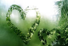 科尔维尔：我知道自己能达到什么高度，马雷斯卡会帮我实现目标.