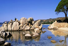 三球大胜莱沃库森 拜仁一脚跨入欧冠复赛门槛.